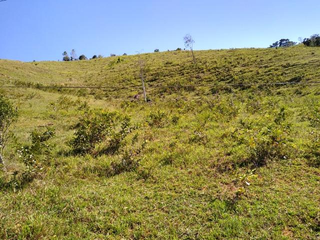 Sítio Viana 2 alqueires - Foto 4