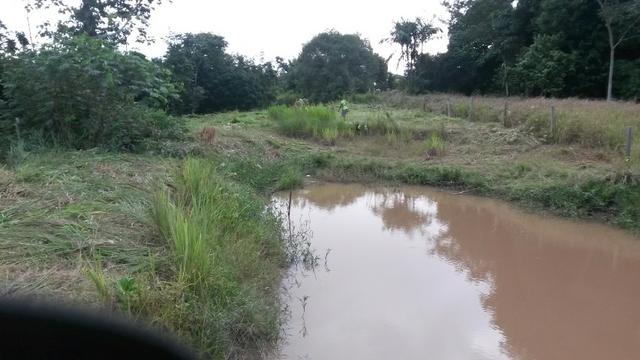 Terreno show