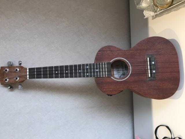 Ukulele Michael(eletrico)
