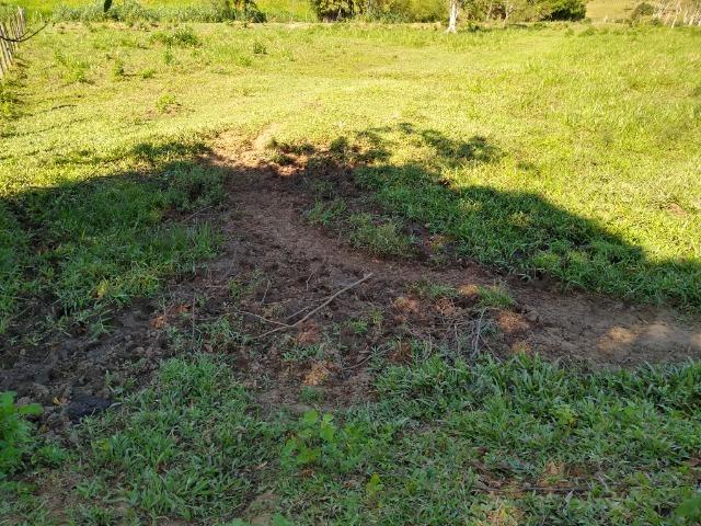 Sítio Viana 2 alqueires - Foto 2