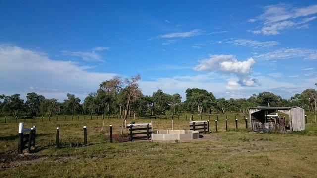Fazenda a Venda Pantanal do Nabileque - Foto 5