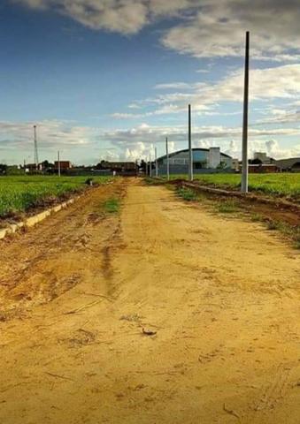Vende-se lonte em bebedouro - Foto 6