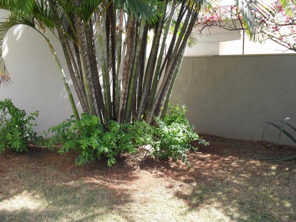 Casa para alugar com 4 dormitórios em Jardim paraíso, São carlos cod:2881 - Foto 20