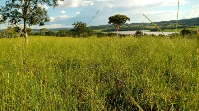 100 Alq. Cultura | Margem Lago | 78 km de Goiânia. R$ 15 Milhões - Foto 6