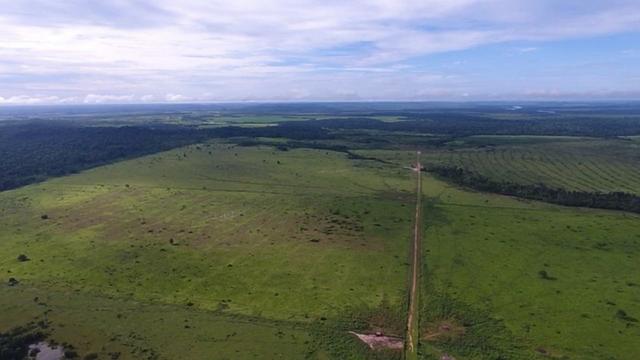 6.100 Há c/ Lavoura em Nova Canna do Norte-MT - Foto 9
