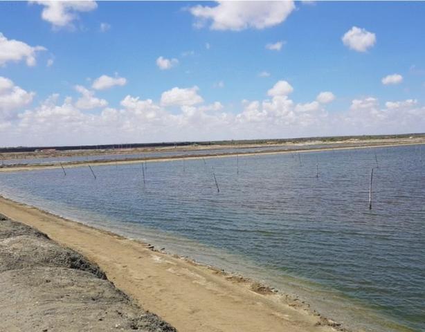 Vendo Fazenda de Camarão em Mossoró ? RN - Foto 15