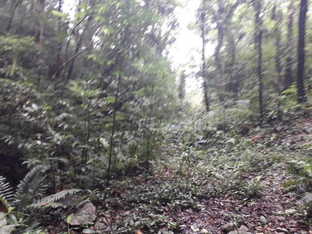 Baixo valor Barbada d R$ 2.500.000,00 por R$ 1.050.000,00-Na Área Industrial d Joinville - Foto 8