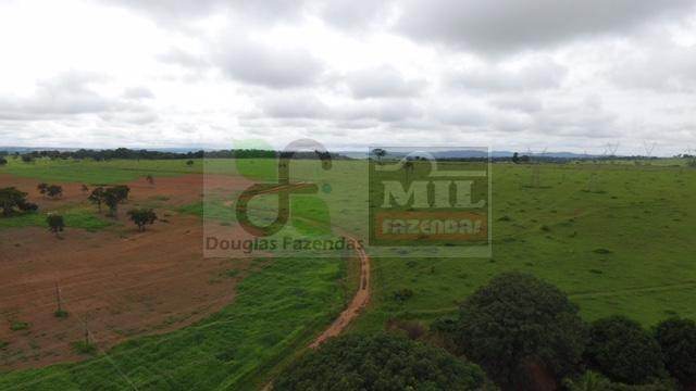 220 Alq. (Plana + Asfalto + Rio). 70 km de Goiânia - Foto 2
