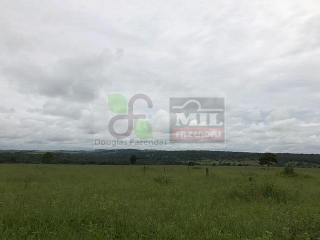 220 Alq. (Plana + Asfalto + Rio). 70 km de Goiânia - Foto 19