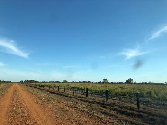 Fazenda Boa de Terra em Cocalinho - MT - Foto 6