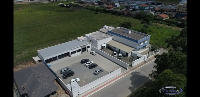 cortador enfestador