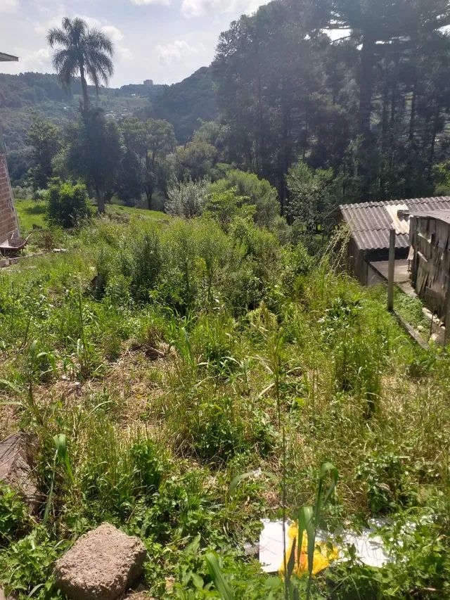 Terreno  - Foto 2