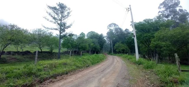 Chácara pronta,7,7 hectares valor 300,000,00 - Foto 5