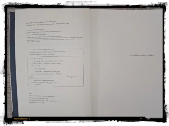Livro: As vidas de Chico Xavier - Foto 3