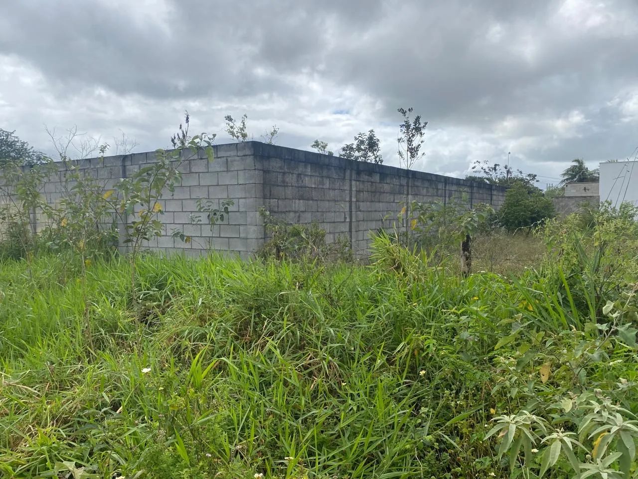Excelente  terreno  para alugar  50 metro saindo  da Avenida  Nóide  Cerqueira  - Foto 2