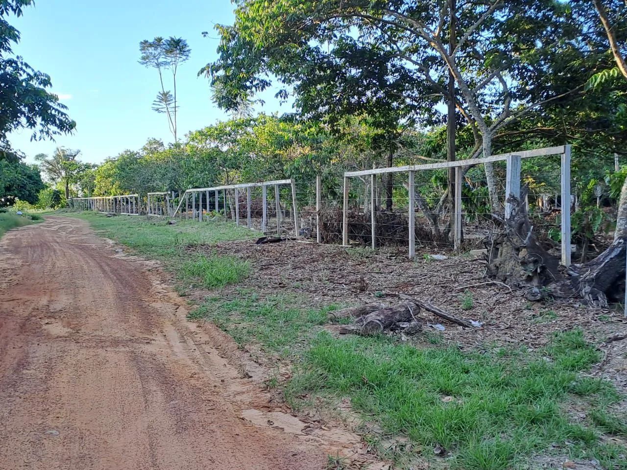 foto - Manacapuru - Aparecida