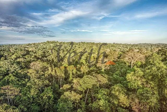 fazenda - Centro - Itamarati - Foto 5