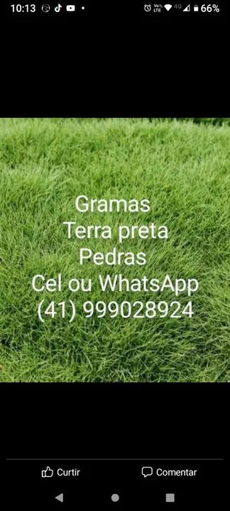 Terra preta ,gramas - Foto 4