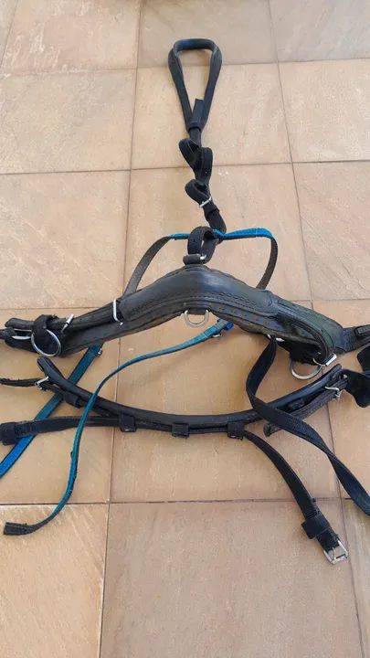 Charrete com arreio  - Foto 5