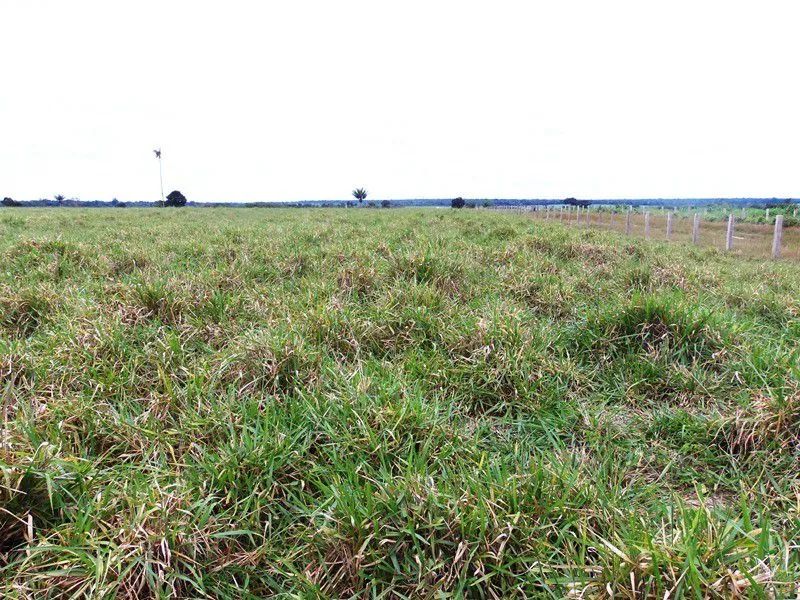 Fazenda 12.00 hect em Juína MT. 4 mil abertos 350 milhões.