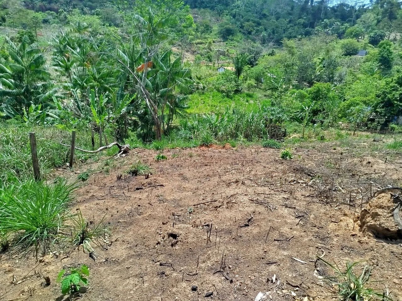 Chácara com Poço e energia  - Foto 7