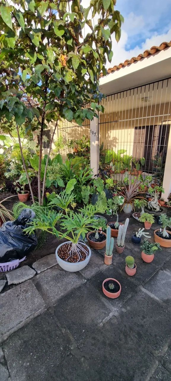 Vendo Casa no Treze de Maio 4 Quartos - Foto 3