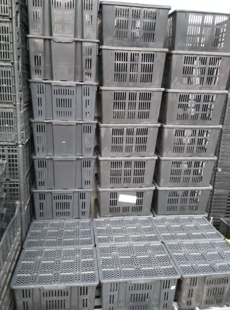 Caixas organizadora e paletes de plástico.. - Foto 6