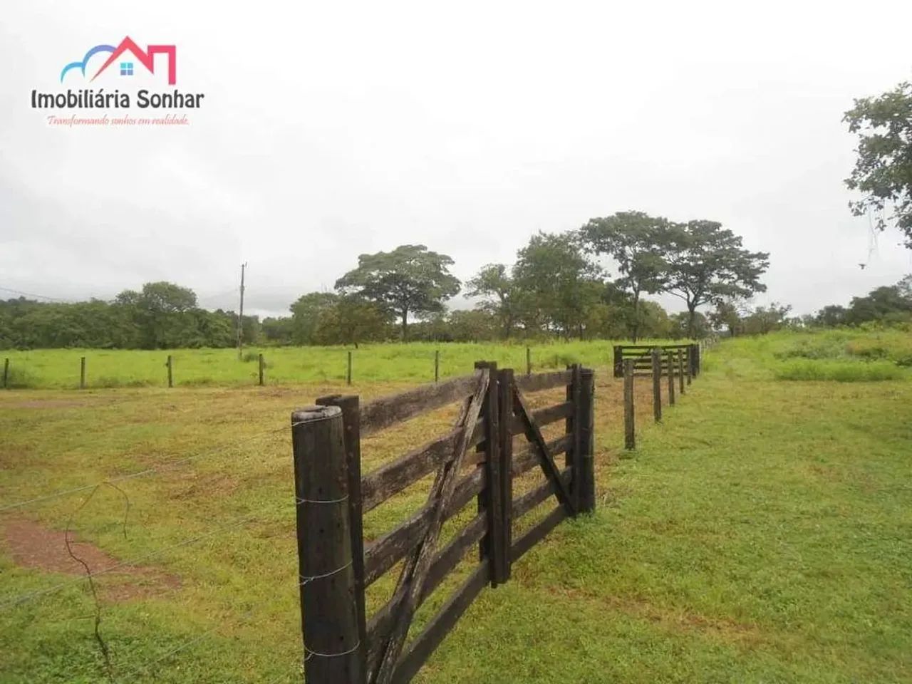 fazenda em Pium, uma joia
