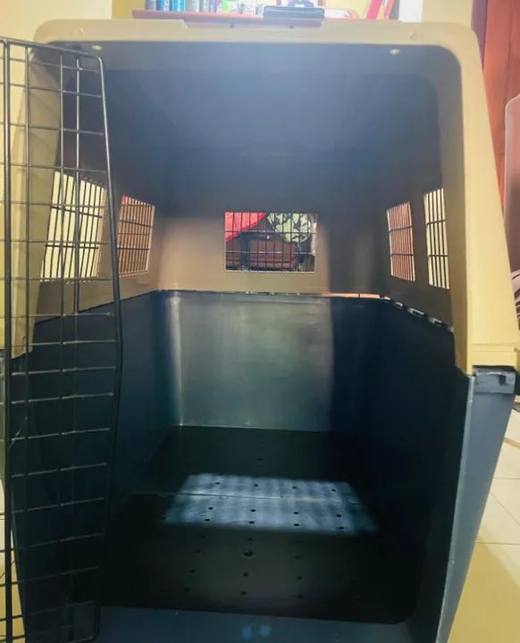 Casa de transporte para Cachorro 