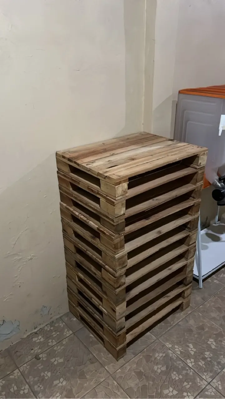 Pallet de madeira para loja