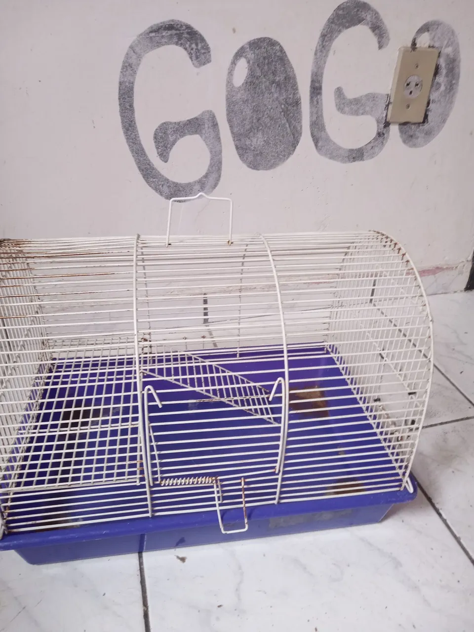 Gaiola para roedores em bom estado