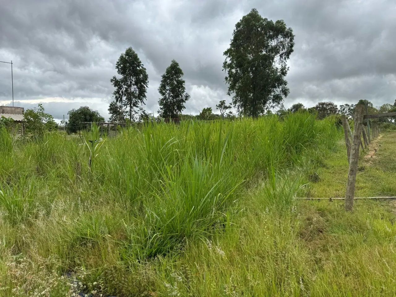= Pequena Chácara para Finais de Semana  Ótima Localização ! - Foto 9