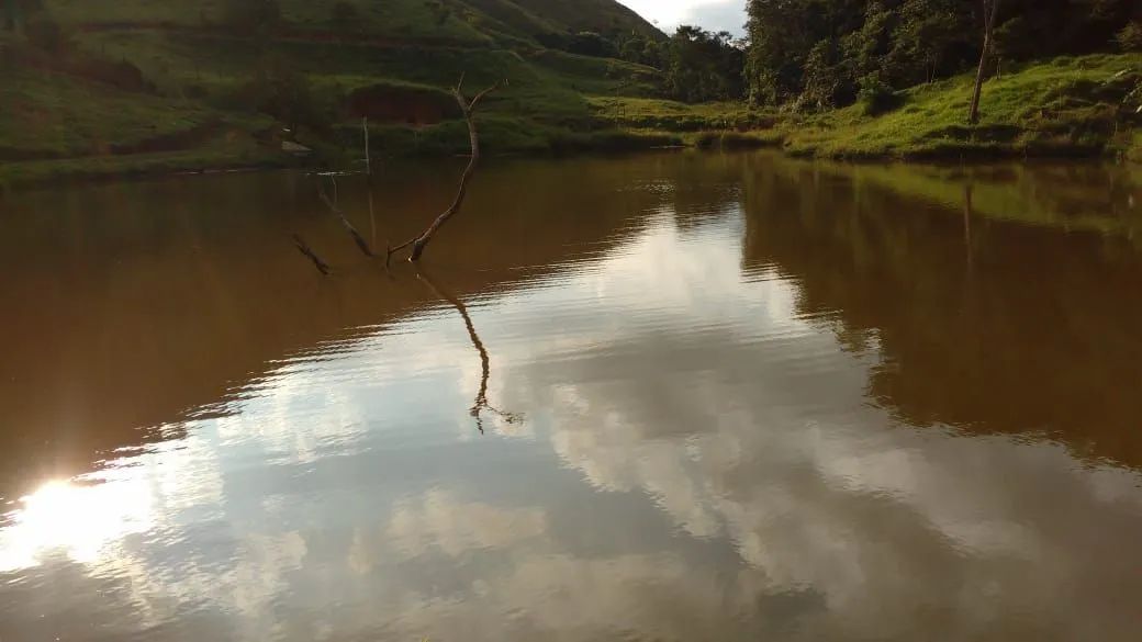 Valença - Sítio com 58 hectares ! Oportunidade! - Foto 4