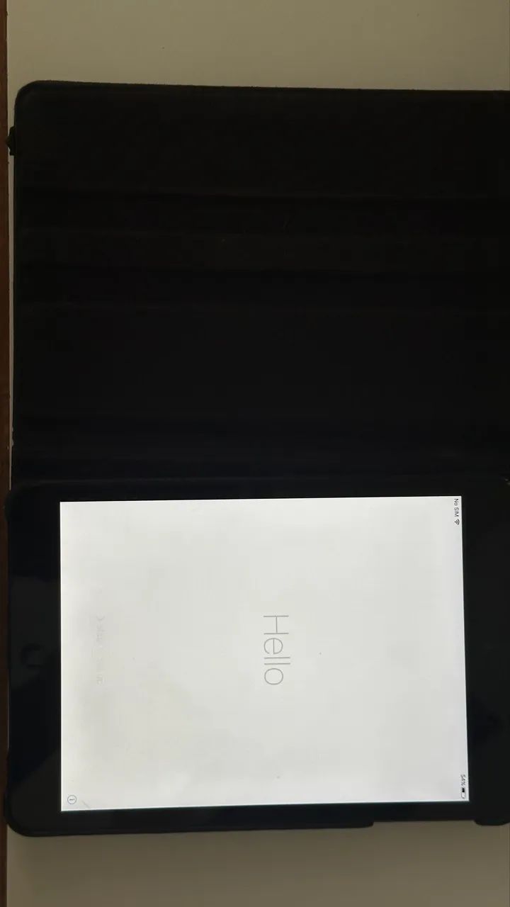 iPad Mini Locked!64312212159873124