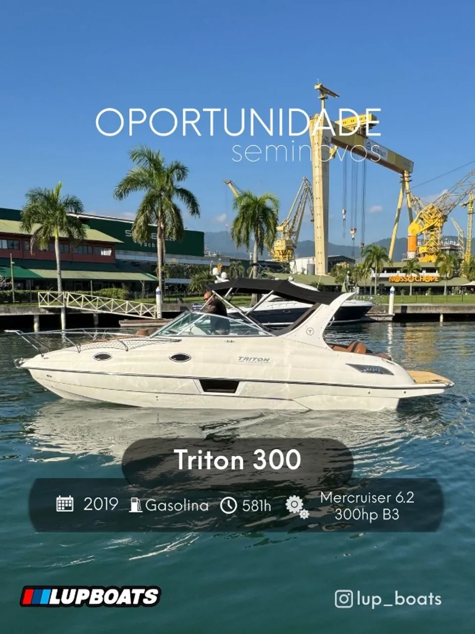 Triton 300 2019