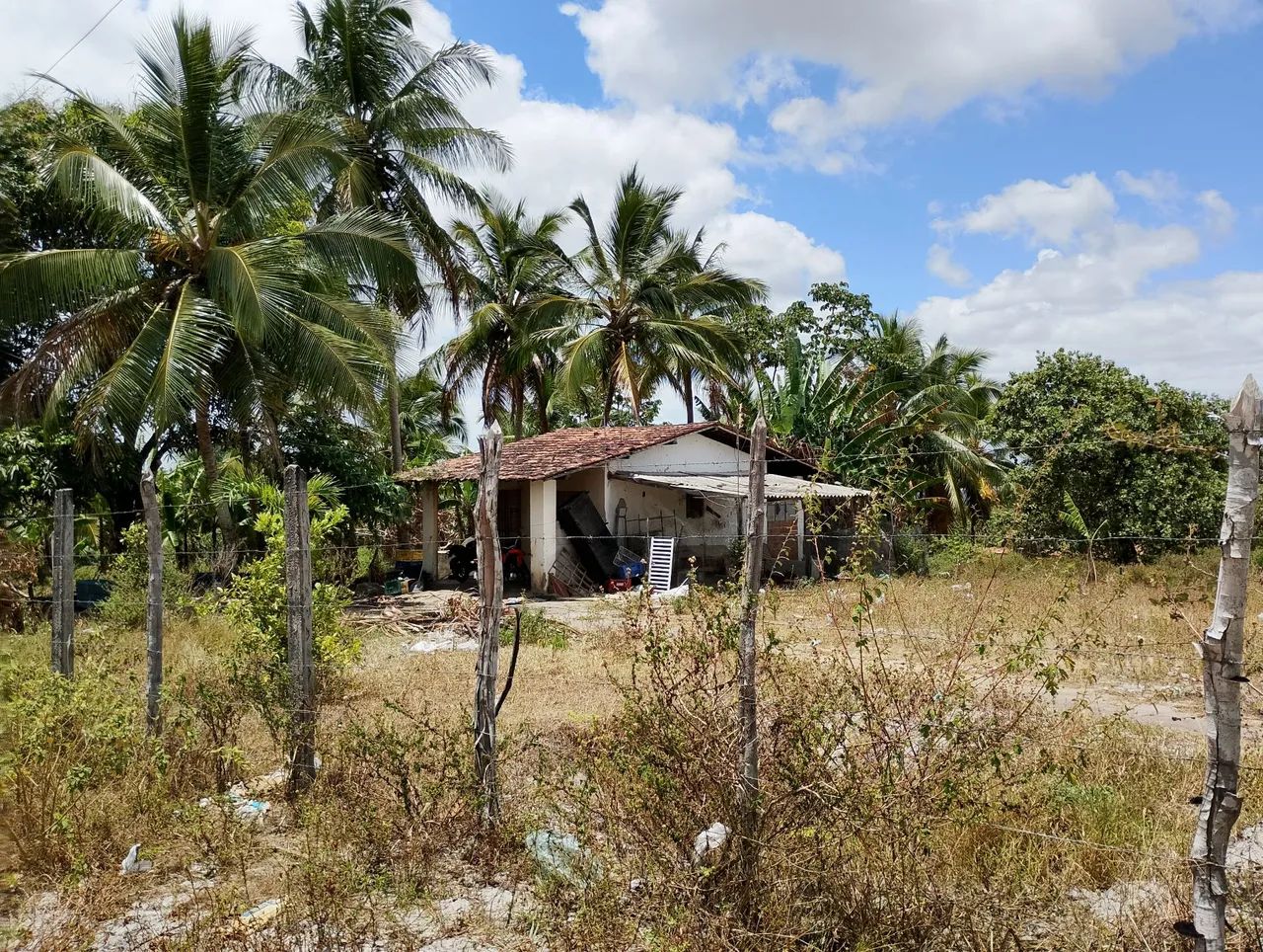 Terreno com uma pequena casa - Foto 3
