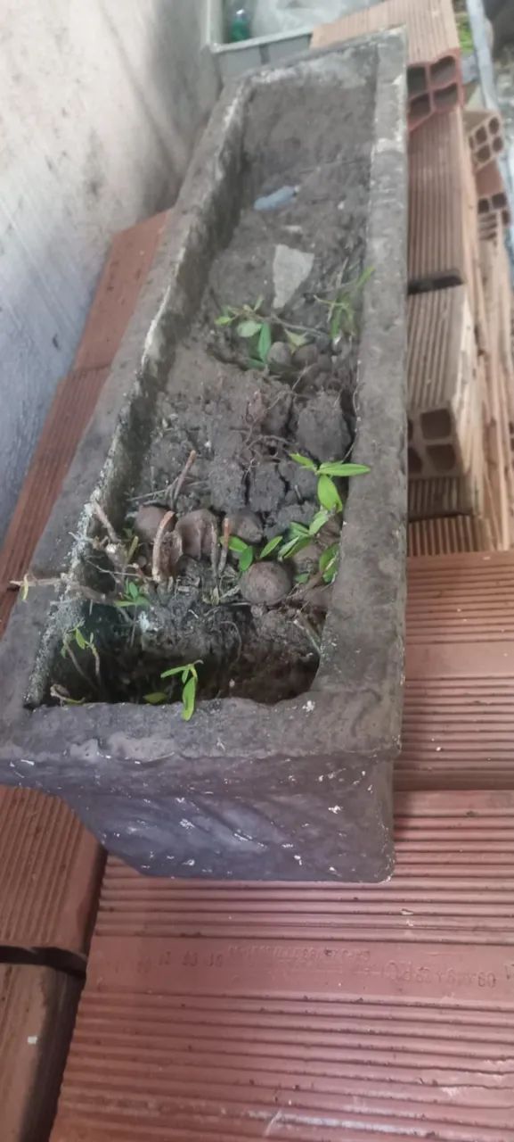 Canteiro de planta - Foto 2