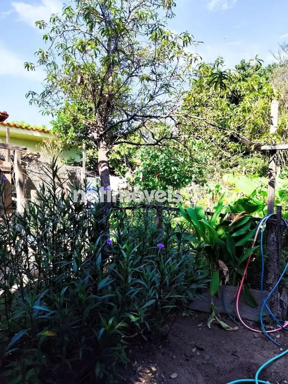Terreno plano, todo murado. - Foto 5