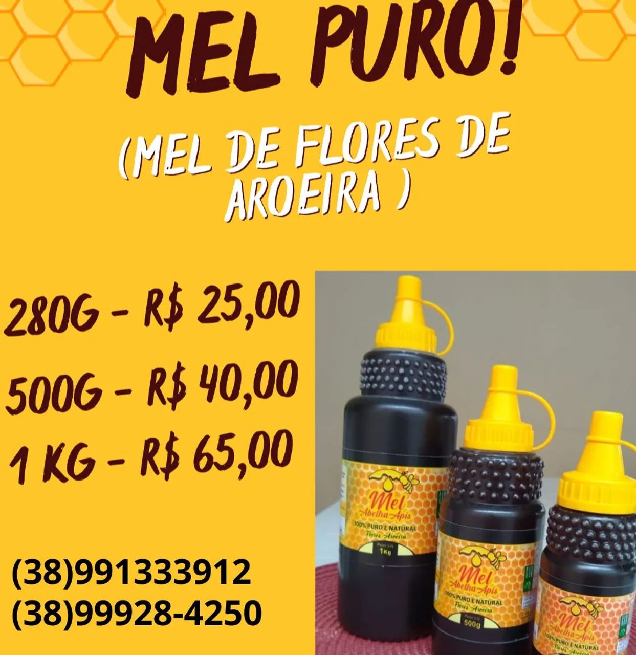 Mel Puro de Flores de Aroeira - 500g 