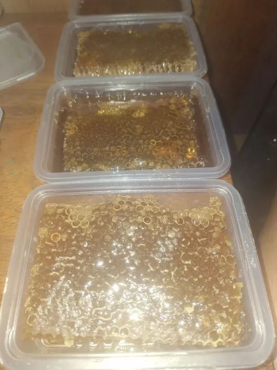 Mel de abelha no favo  puro e fresco - Foto 6