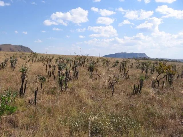 40.000 m² CHÁCARAS NA CHAPADA DOS VEADEIROS   - Foto 2