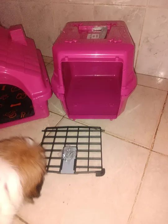 Casinha e caixa transporte pet - Foto 2