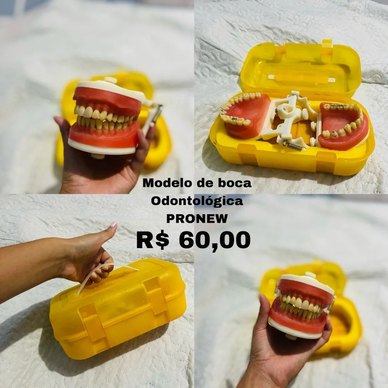 Modelo de Boca Odontológica