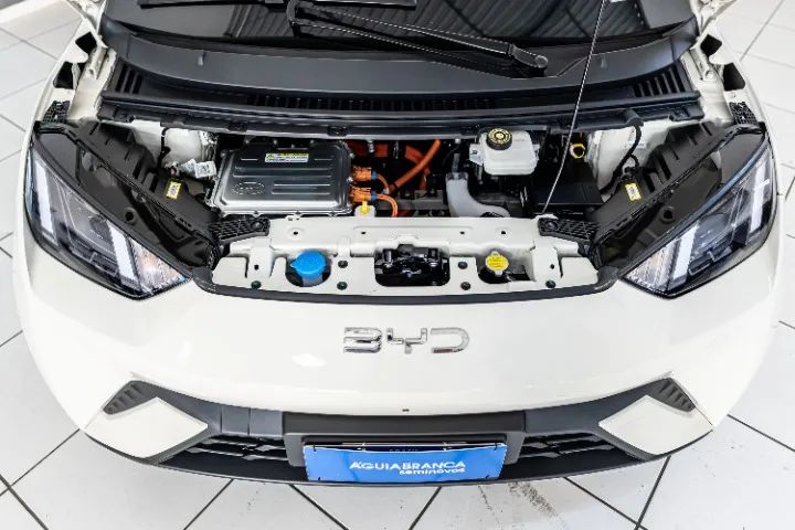 BYD Dolphin Mini (Elétrico) 2026 - Foto 4
