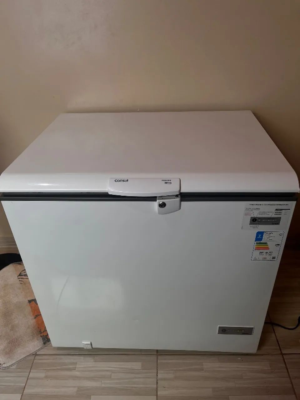 Freezer cônsul 309L 