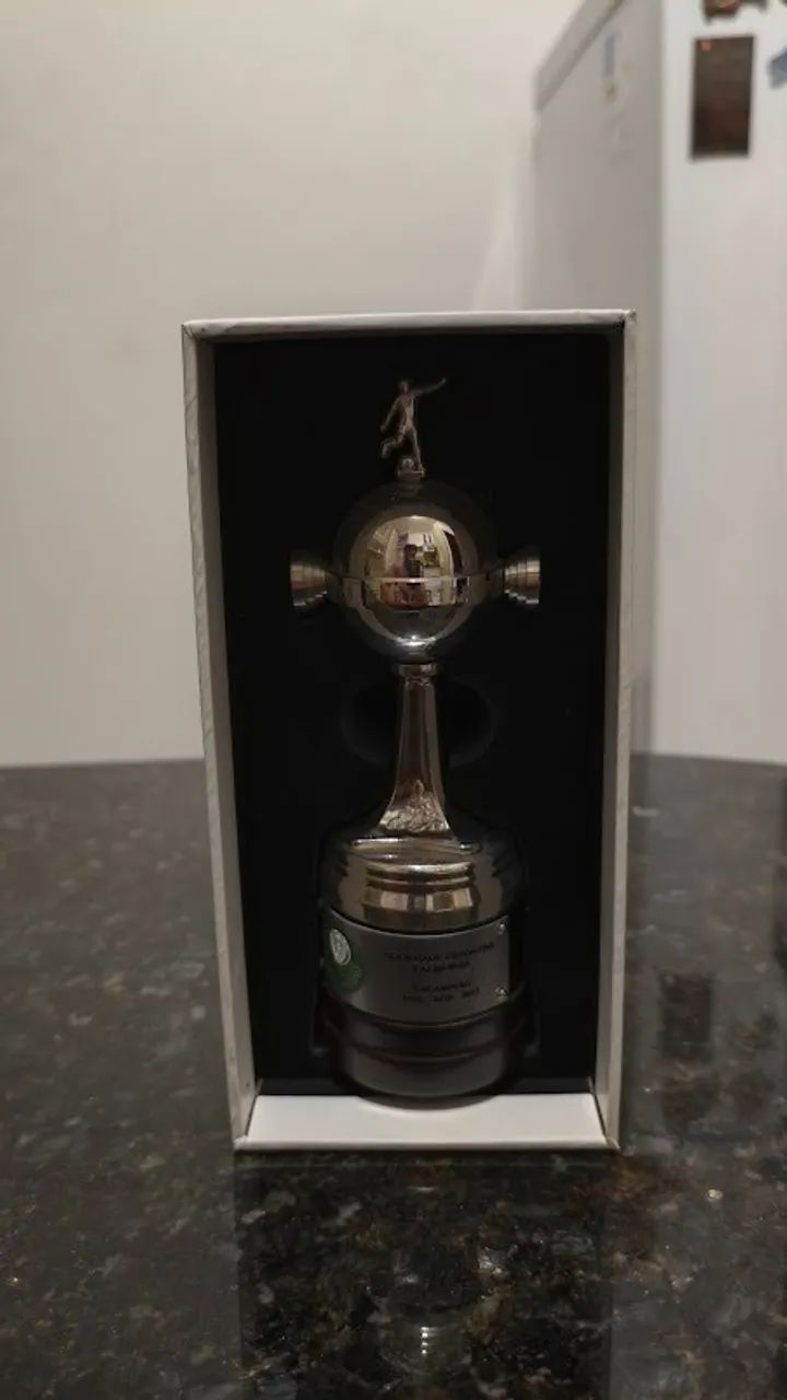 Taça Libertdores Palmeiras (miniatura) - Foto 5