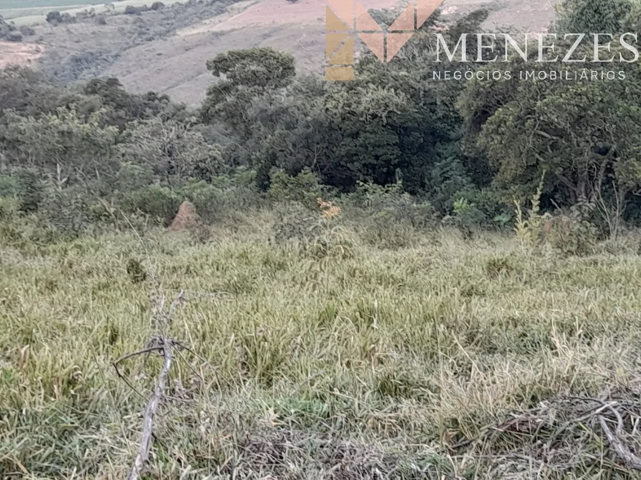 Sítio à venda na Serra da Canastra - Foto 4
