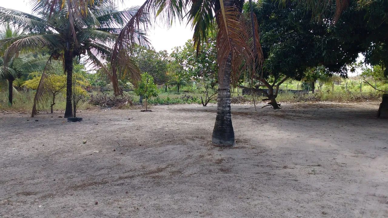 Vendo na cidade de Rio tinto  - Foto 3