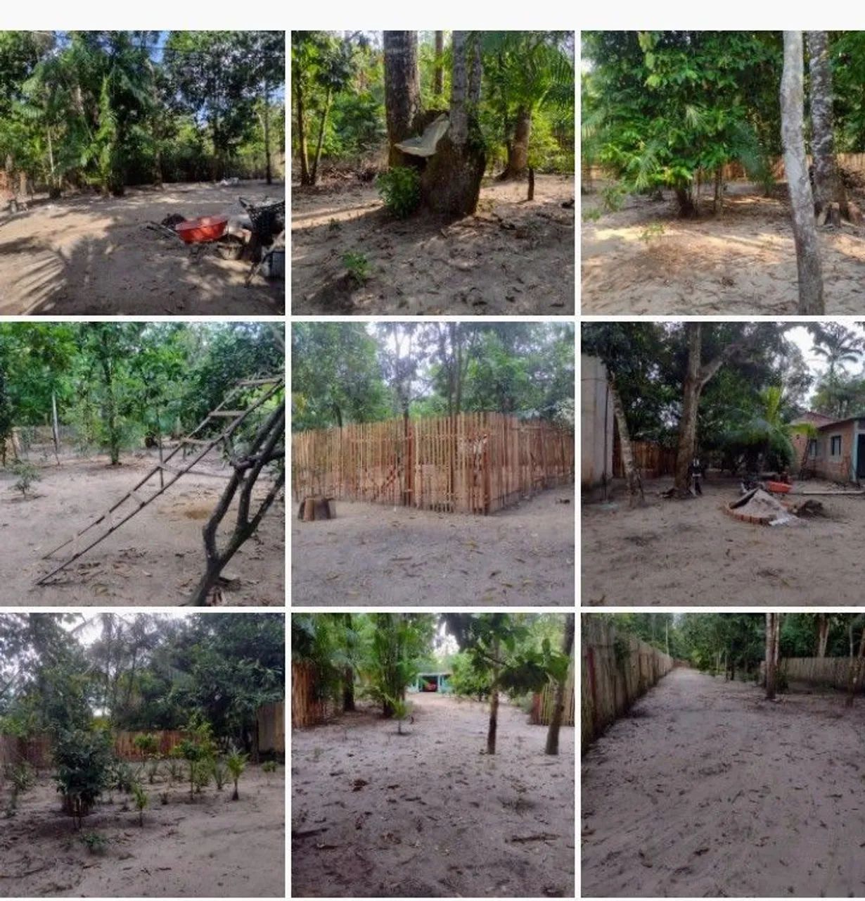 Sitio por R$ 180.000 ( Cento e oitenta mil reais) - Foto 2