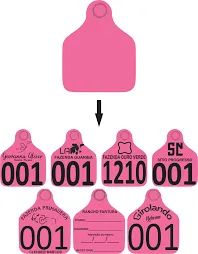Brinco Bovino de Identificação Personalizado - Foto 3
